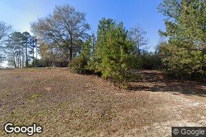 4111 Britton Lige Rd, Millry, AL 36558