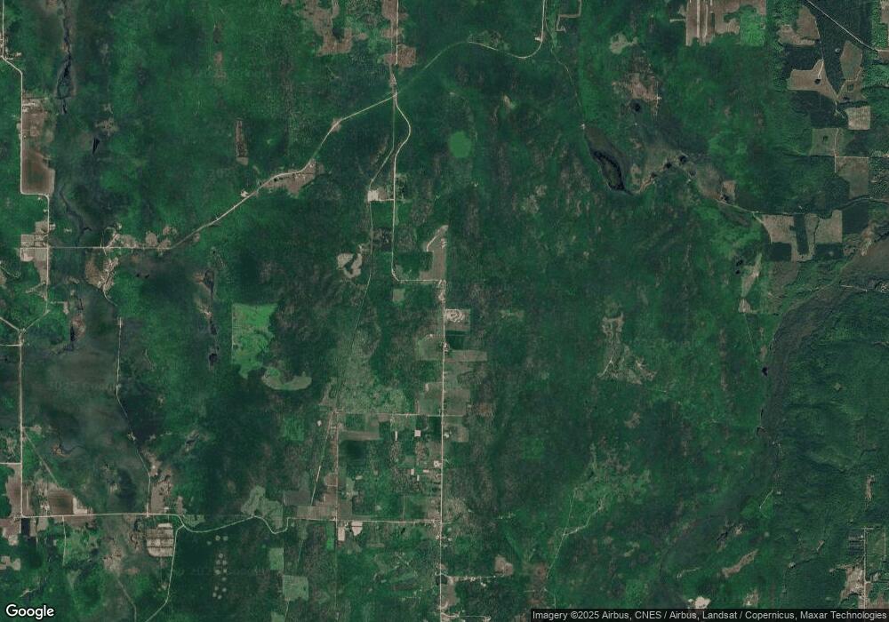 XXX Magee Rd N, Chandler Township, MI 49713 - photo 1