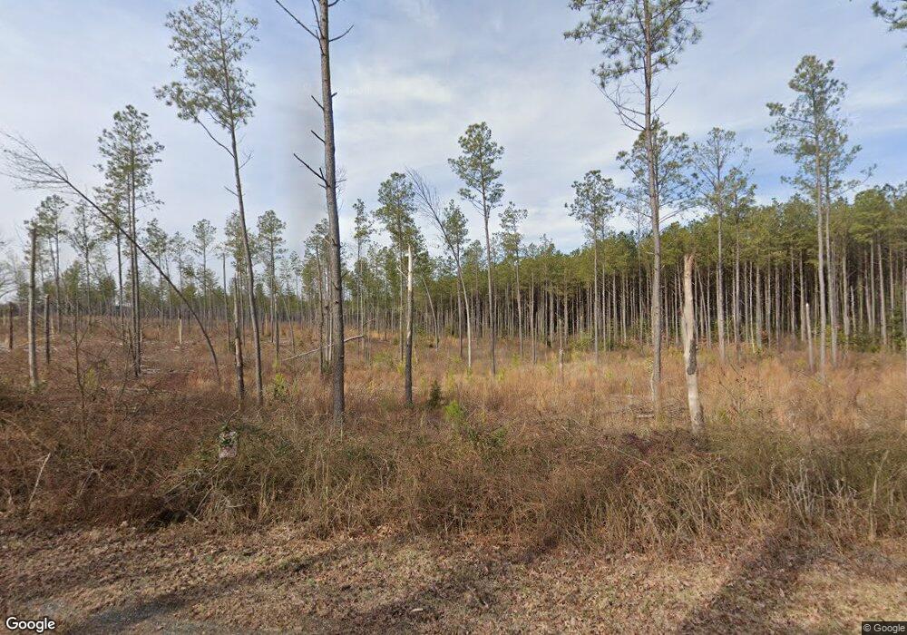 20226 Balty Rd, Ruther Glen, VA 22546 - photo 1