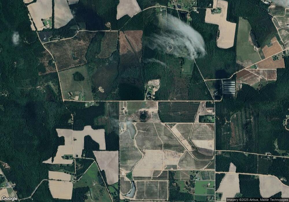 20 Rhine Rd, Alma, GA 31510 - photo 1