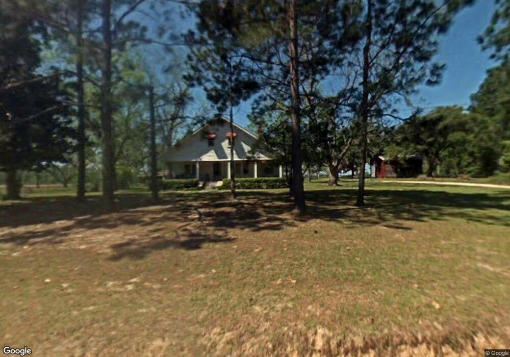 4223 Molly Branch Rd, Blackshear, GA 31516 - photo 1