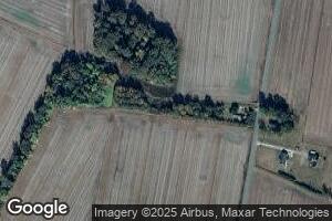 1205 Wilkinson Station Rd, Pantego, NC 27860