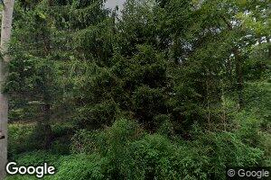 908 Paradise Rd, New Bloomfield, PA 17068