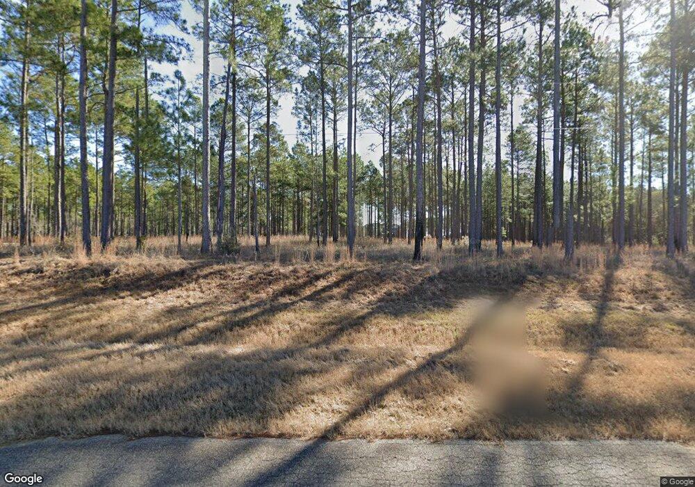 417 Lloyd Rd, Meigs, GA 31765 - photo 1