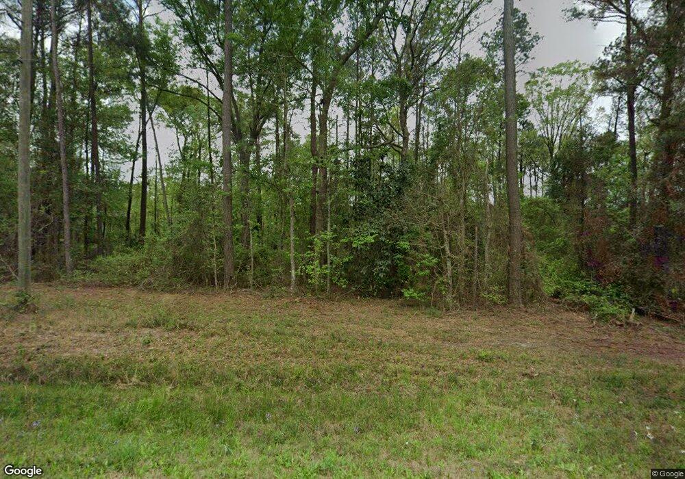 1135 Wilder Rd, Pelham, GA 31779 - photo 1