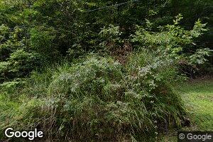 447 Robbie Ridge Rd, Stanton, KY 40380