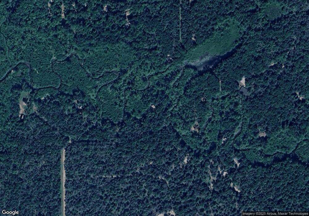 1331 W Lost Trail, Baldwin, MI 49304 - photo 1