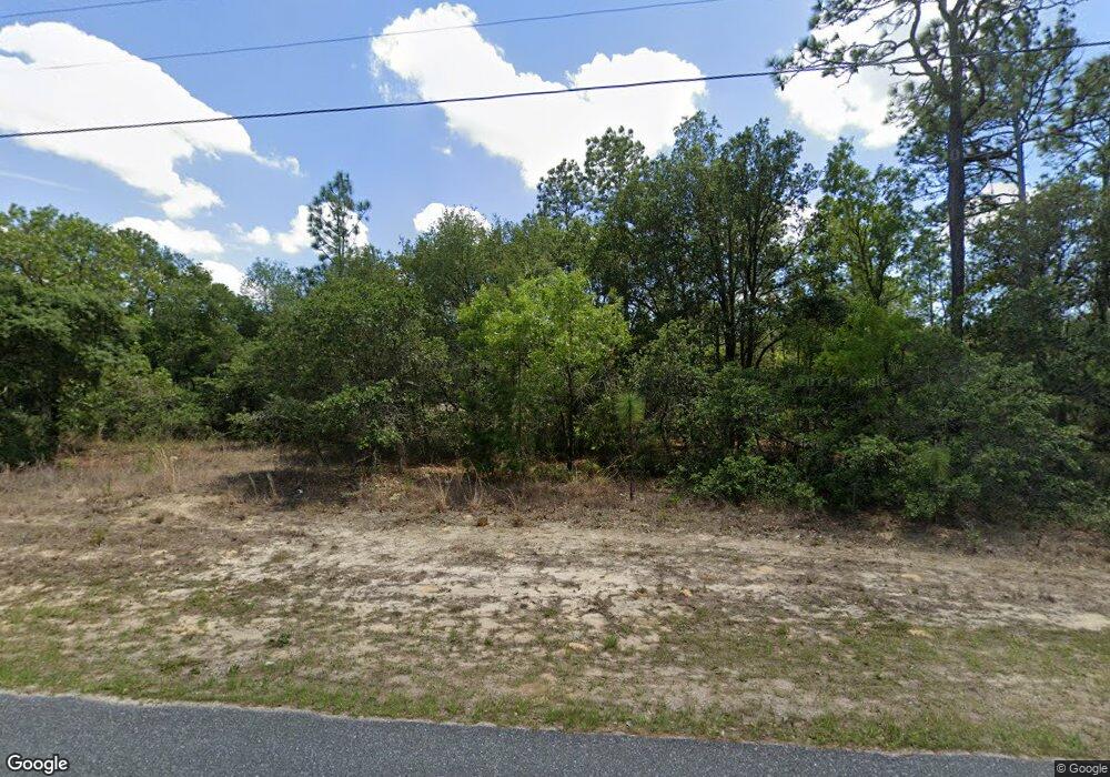 9033 N Saponaria Dr, Citrus Springs, FL 34433 - photo 1