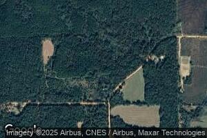4475 Hog Creek Rd, Red Level, AL 36474