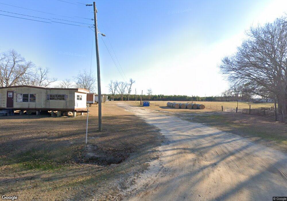 607 Old Dairy Rd, Ailey, GA 30410 - photo 1