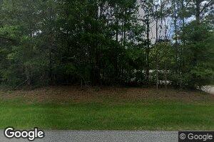 7811 Nathan Jordan Rd, Millry, AL 36558