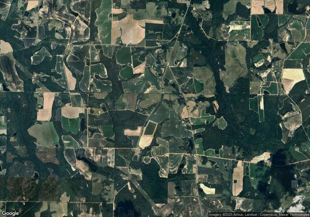 0 Clements Chapel Rd, Ashburn, GA 31714 - photo 1