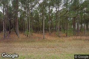 550 Flea Hop Rd, Blakely, GA 39823