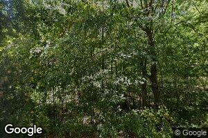 311 County Road 106, Carrollton, MS 38917
