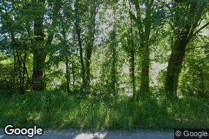 14993 S Chapin Rd, Elsie, MI 48831