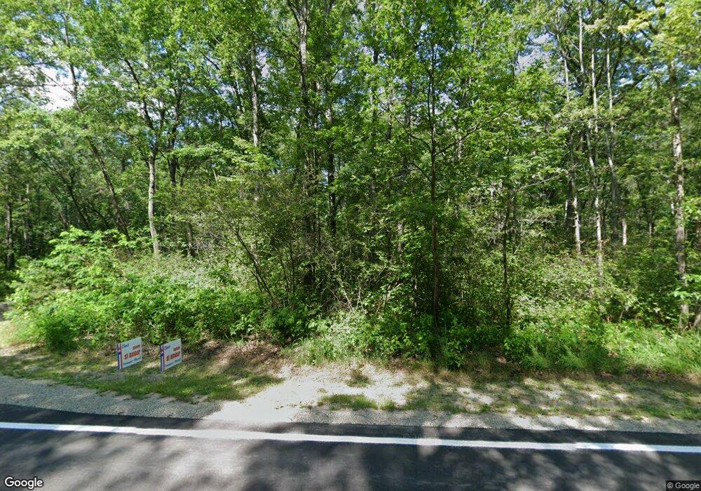 961 W Woodland Park Dr, Bitely, MI 49309 - photo 1