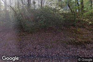 562 Eastman Mountain Rd, Tiger, GA 30576