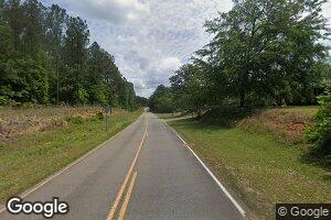 0 Old Mitchell Rd, Mitchell, GA 30820