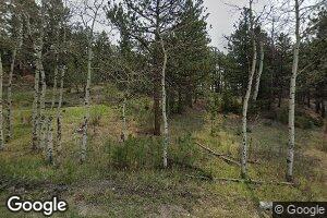 9788 Fallen Rock Rd, Conifer, CO 80433