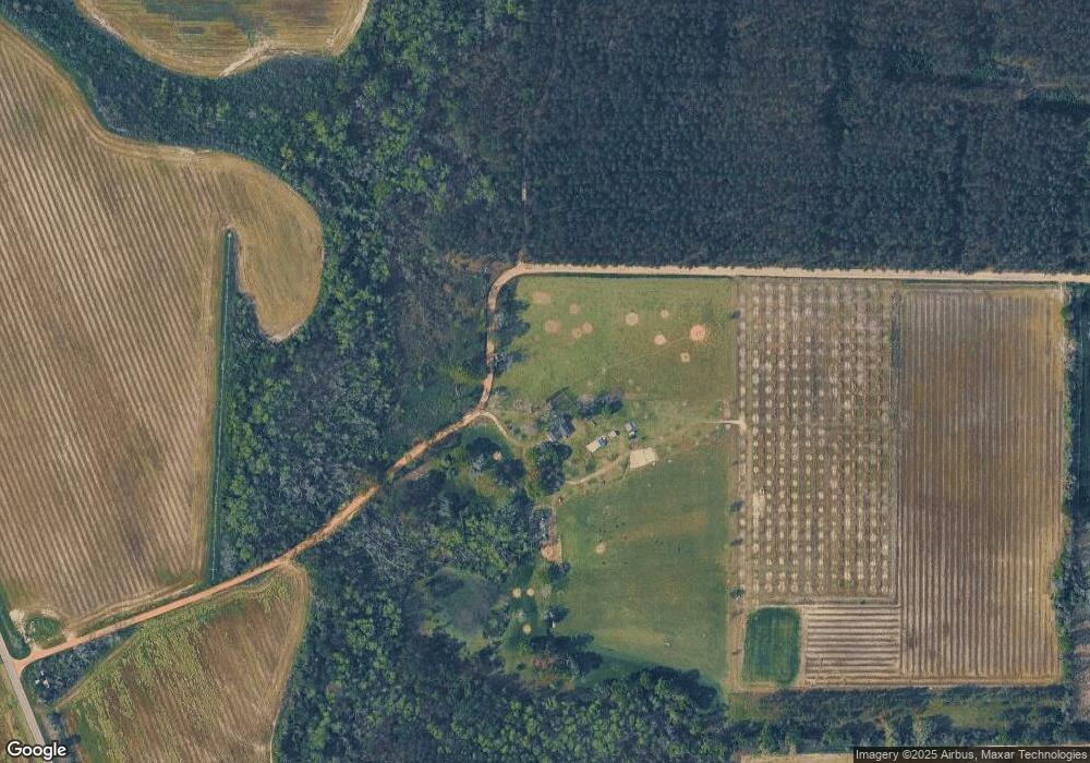 332 Phelps Rd, Baxley, GA 31513 - photo 1