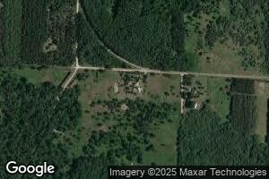 11127 Vitaz Rd, Brethren, MI 49619