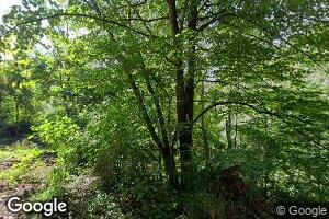 656 Esquire Cemetary Rd, Hinton, WV 25951