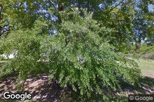 177 Levens Addition Rd, Ferriday, LA 71334