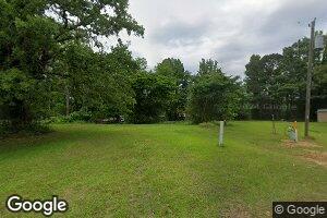 41 Mitchell Ln, Silas, AL 36919