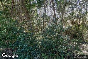 1112 Live Oak Ln NE, Townsend, GA 31331