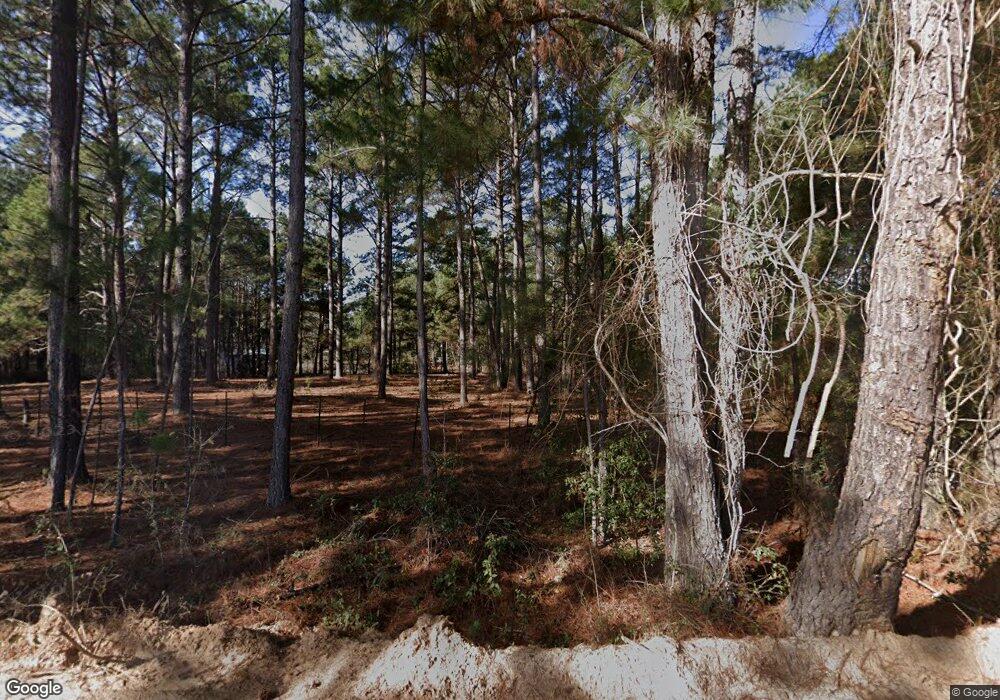 1049 Crumpton Rd, Lenox, GA 31637 - photo 1