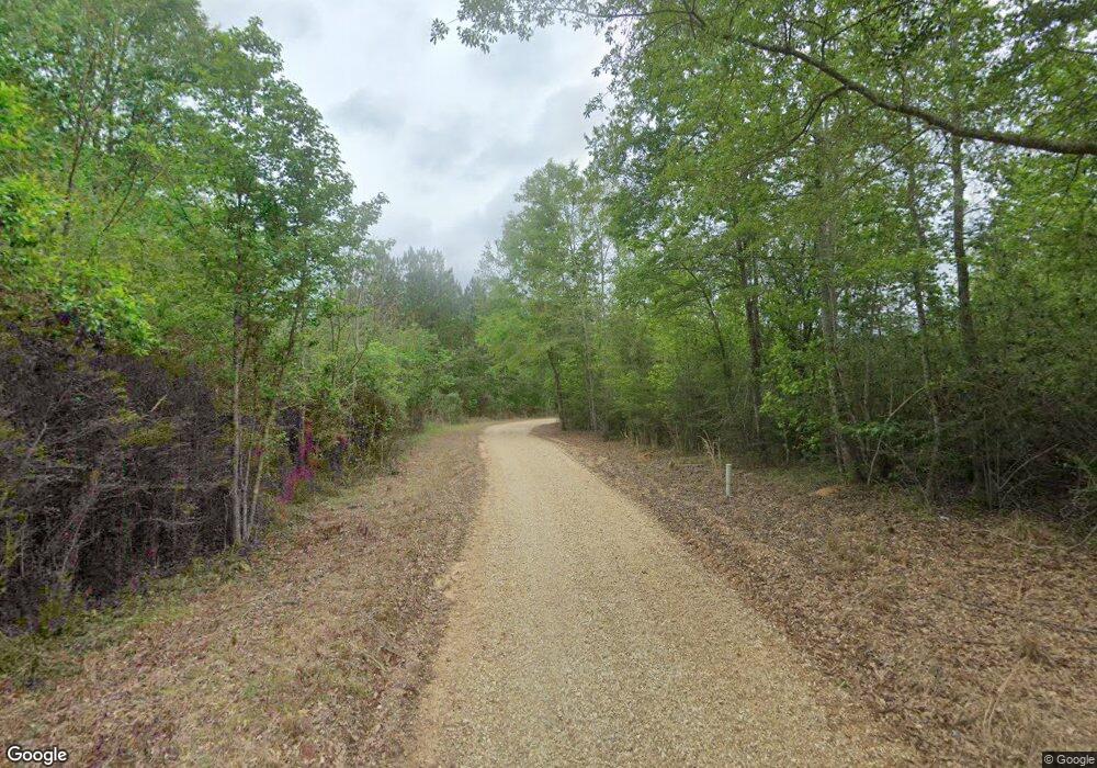 0 Tbd Ellis Dillon Rd, Tylertown, MS 39667 - photo 1