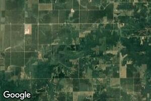 1900 Gray Rd, Alma, IL 62807