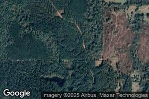 203 Wilhite Cemetery Rd, Downsville, LA 71234