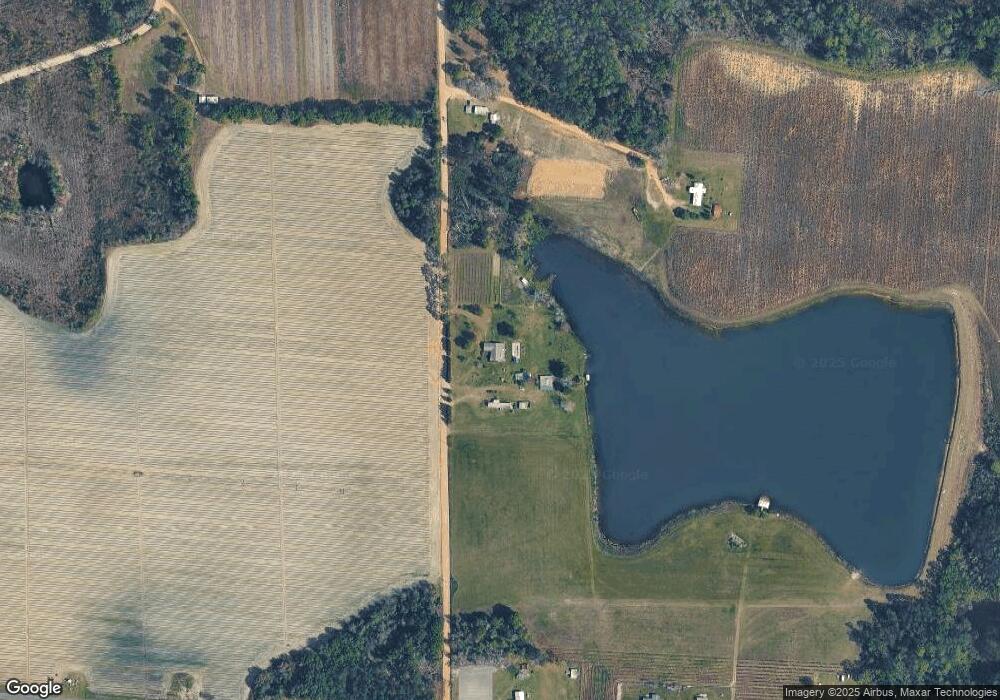 165 Cougar Rd, Mershon, GA 31551 - photo 1