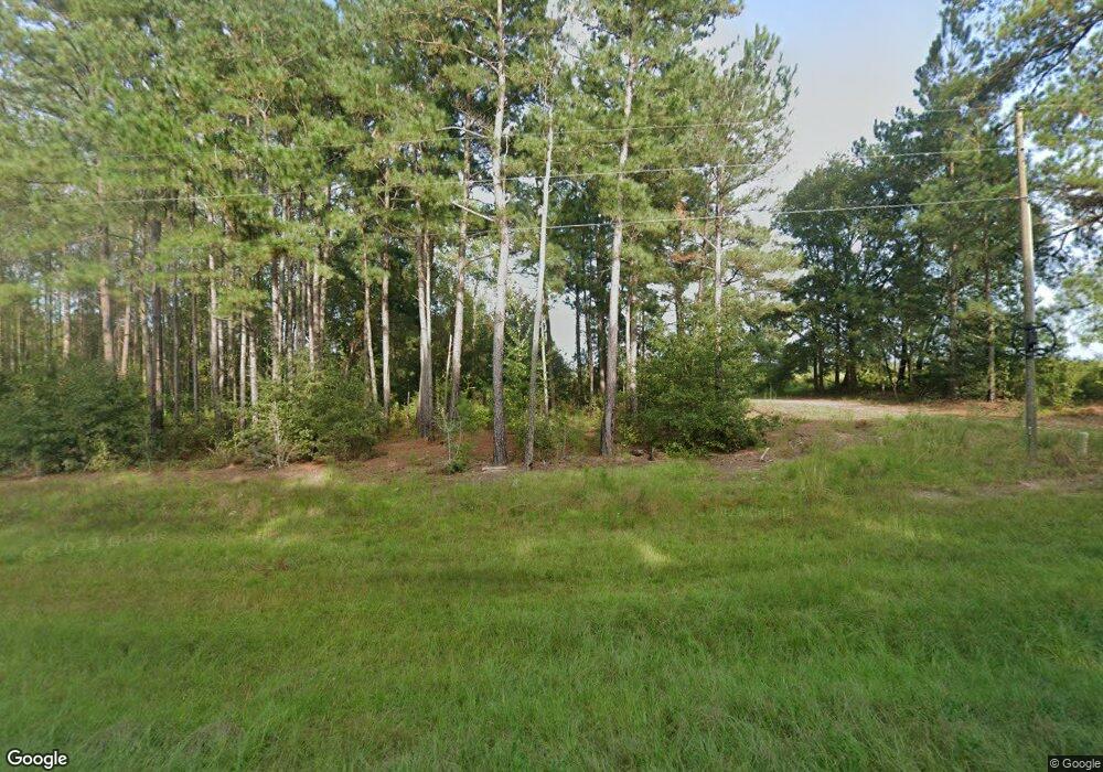 298 Scuffletown Rd, Bristol, GA 31518 - photo 1