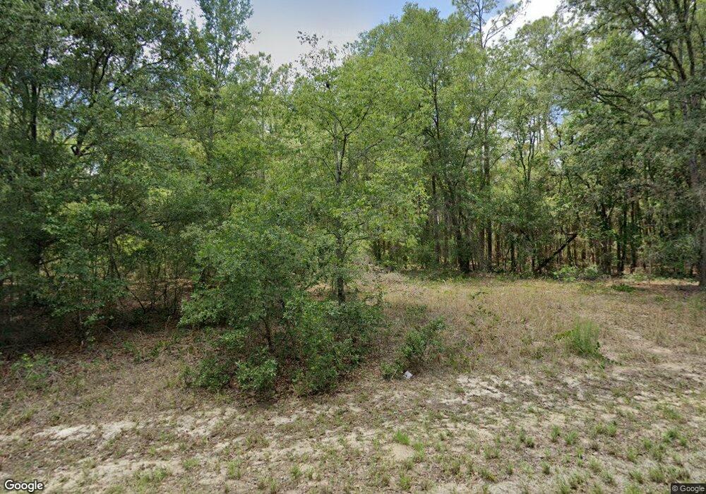 259 E Mc Faddin Place, Citrus Springs, FL 34434 - photo 1