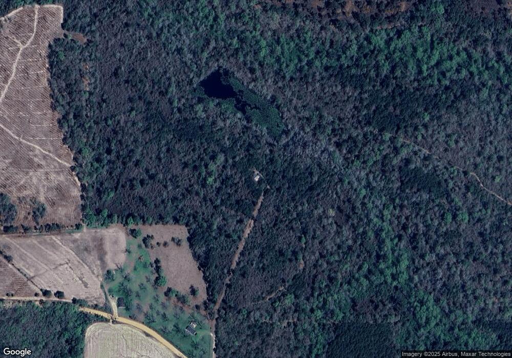 6128 Ga Highway 93, Pelham, GA 31779 - photo 1