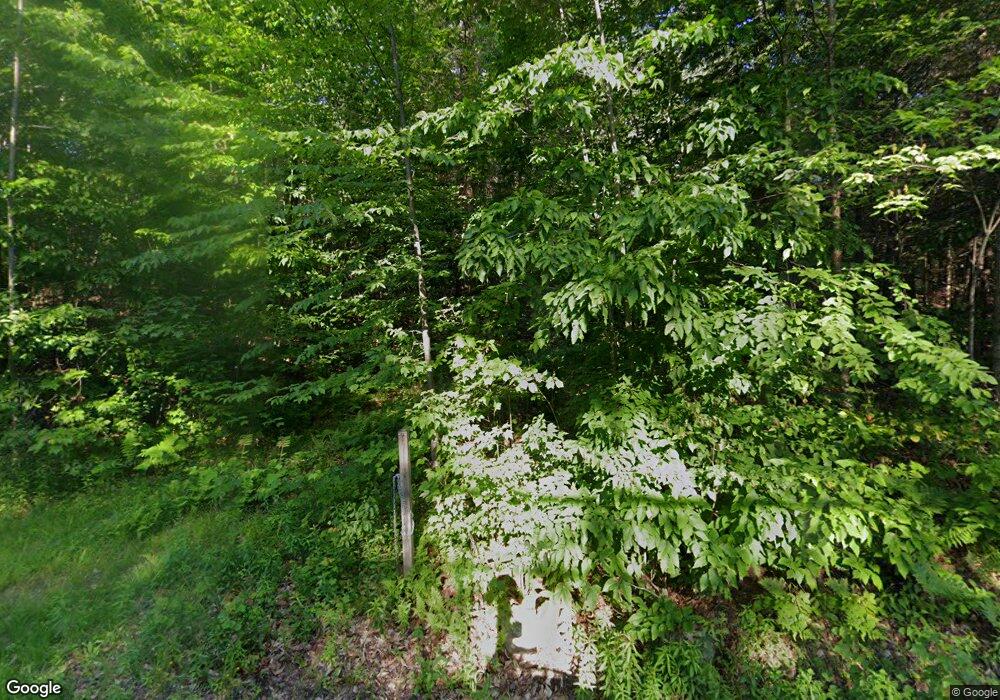 303 Gilsum Mine Rd unit 45/11-1, Alstead, NH 03602 - photo 1