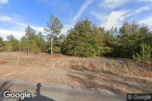 174 Hobbs and Briggs Rd, Buena Vista, GA 31803