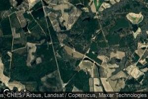0 Piney Grove Rd Unit 158225, Cobbtown, GA 30420