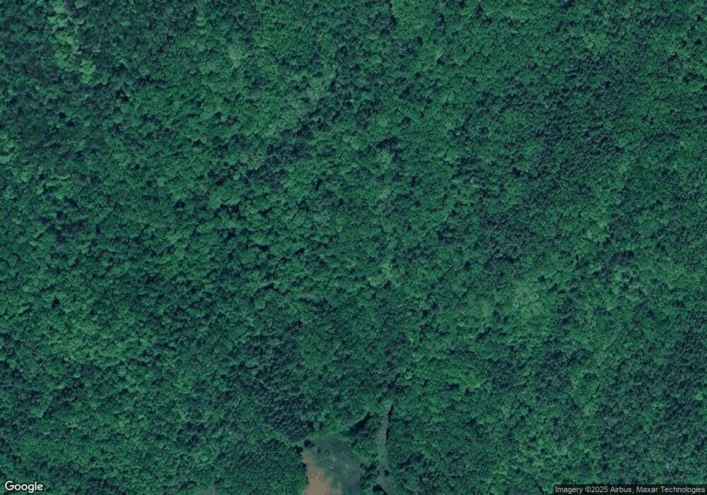 443 Gerrish Rd, Webster, NH 03303 - photo 1