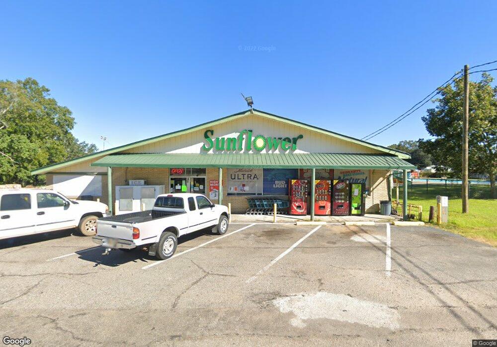 916 Palestine Rd, Picayune, MS 39466 - photo 1