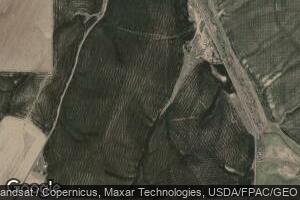 82526 Vansycle Rd, Helix, OR 97835