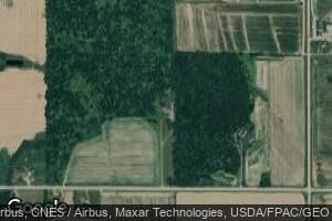 W4204 Center Rd, Owen, WI 54460