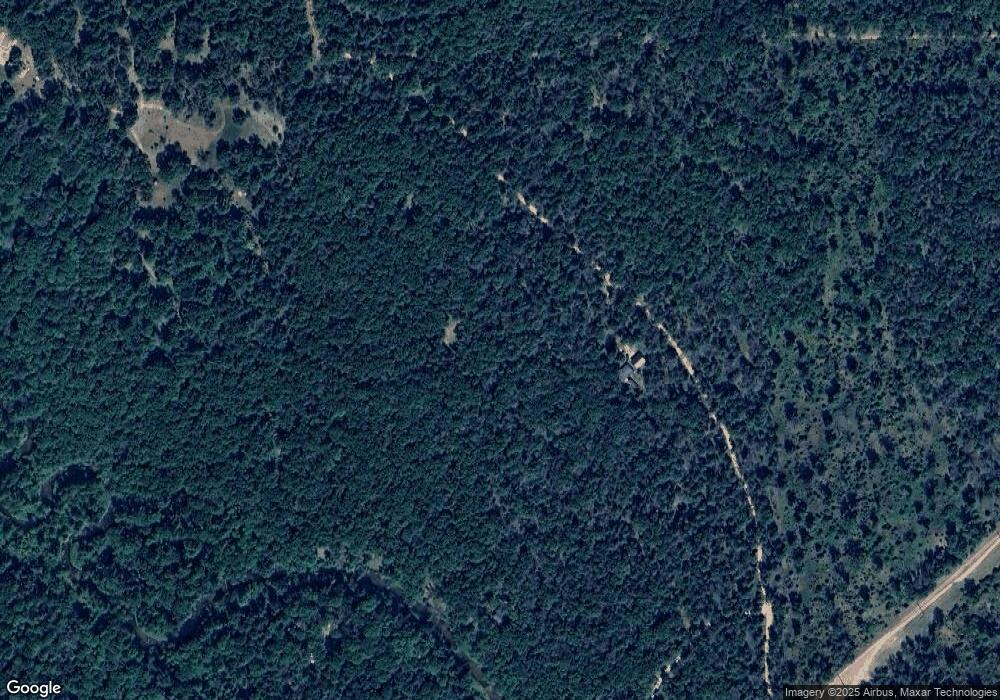 10443 S Everblooming Dr, Baldwin, MI 49304 - photo 1