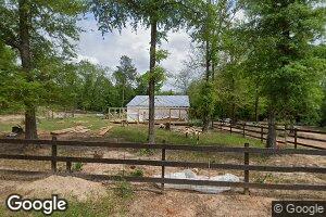 184 Shady Grove Church Rd, Richland, GA 31825
