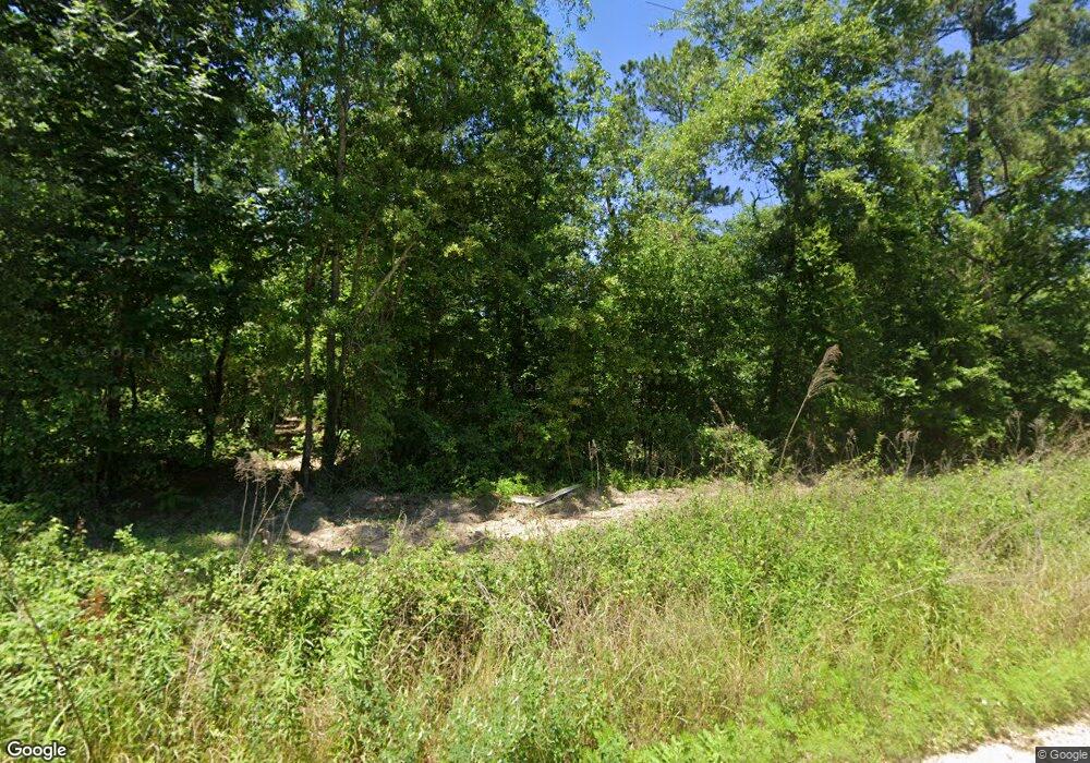 216 Earl Hester Rd, Climax, GA 39834 - photo 1