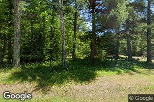 N10437 State Highway 55, Pearson, WI 54462