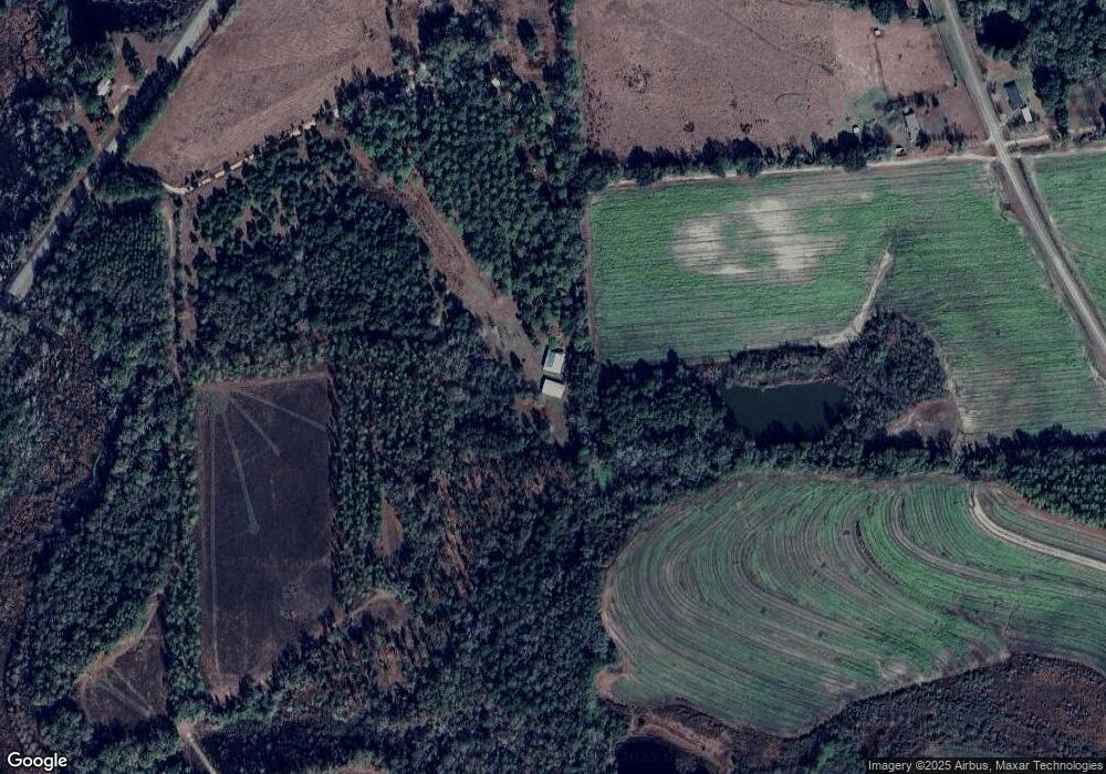 6166 Ga Highway 111 N, Pelham, GA 31779 - photo 1