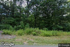 9856 Grapefield Rd, Bastian, VA 24314